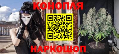бошки Камышлов