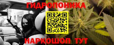 бошки Камышлов