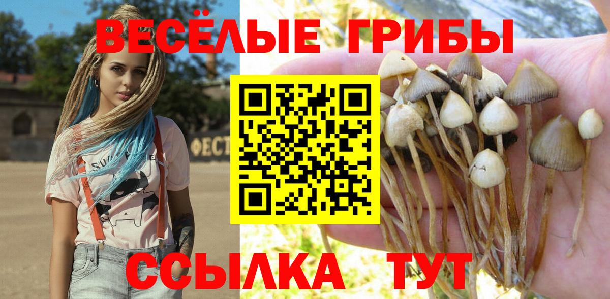 Галлюциногенные грибы GOLDEN TEACHER Кыштым