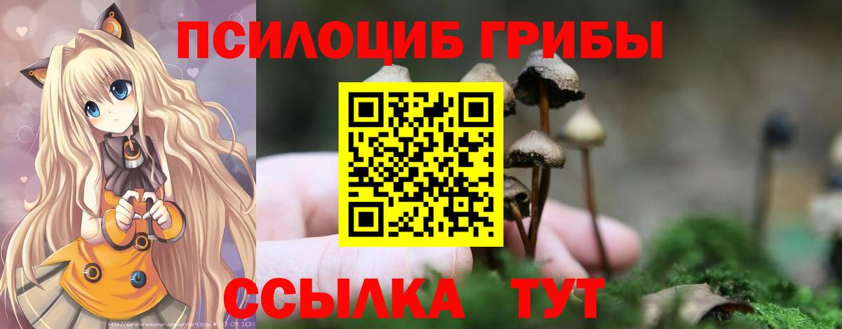 Кыштым  Псилоцибиновые грибы ЛСД  Галлюциногенные грибы Psilocybine cubensis  Вход с VPN 
